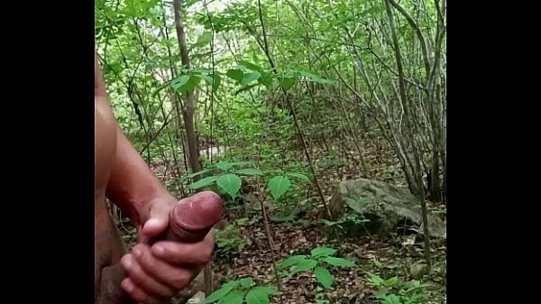 Que gostoso punheitar no mato Brasil